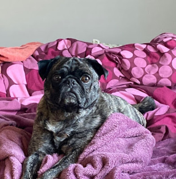 Meet your Posher, Brenna - Picture 1 of 1